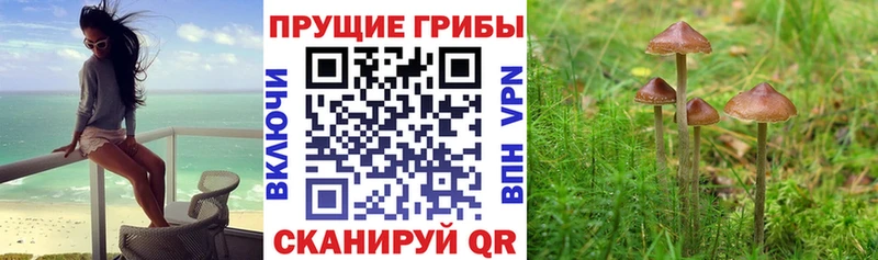 ОМГ ОМГ как зайти  где продают наркотики  Александровск-Сахалинский  Галлюциногенные грибы ЛСД 